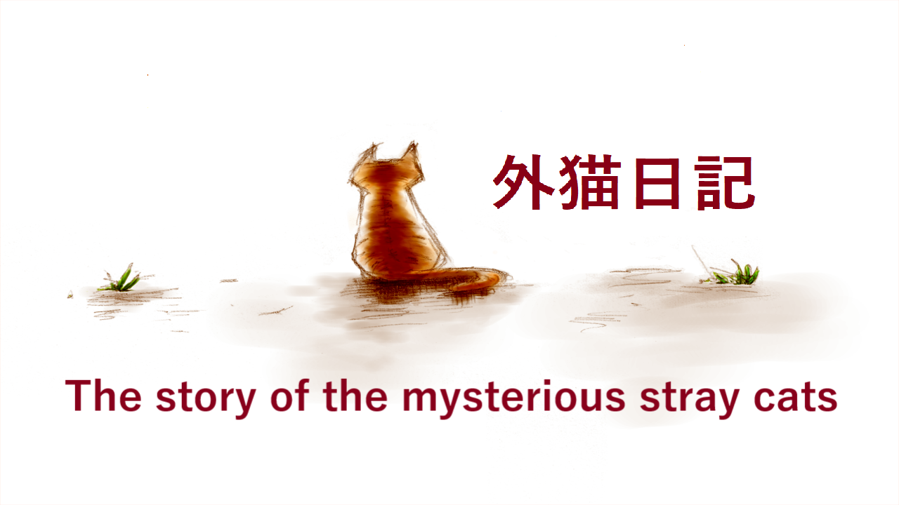 外猫日記 The story of the mysterious stray cats